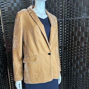 Banana Republic like new fully lined,one button velvet blazer size 6